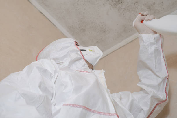 Best Commercial Mold Removal  in Massapequa Park, NY